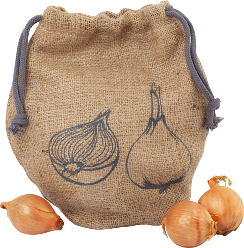 onion bag