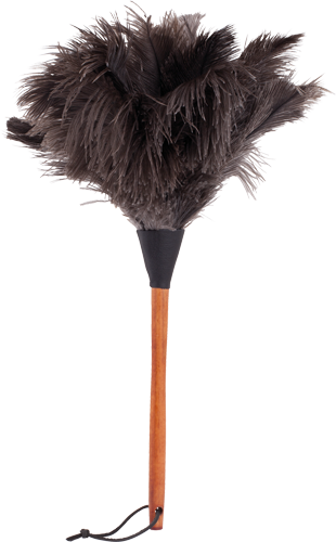 ostrich feather duster