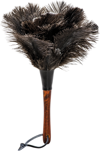 ostrich feather duster