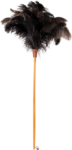 ostrich feather duster