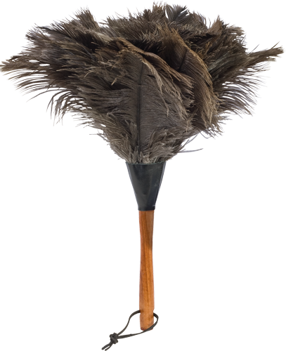 ostrich feather duster