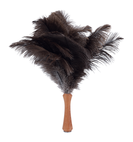 ostrich feather duster