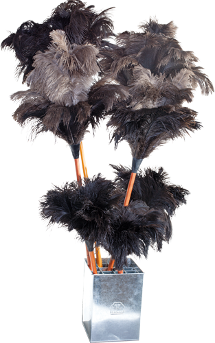 feather duster display