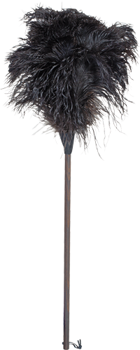 ostrich feather duster