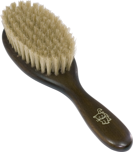 Brosse pour chat