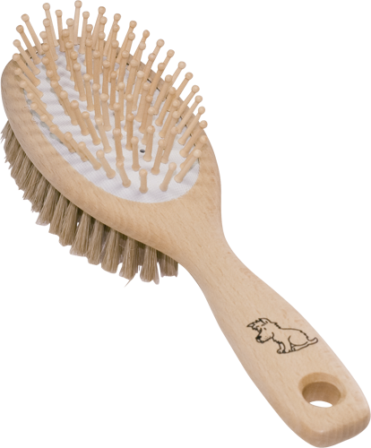 Brosse pour chien