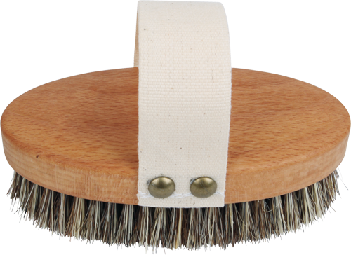 Brosse de massage Wellfit