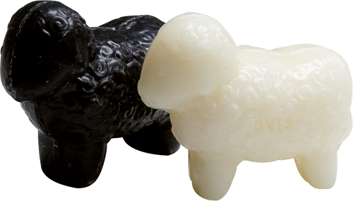 sheep’s milk soap – lambs