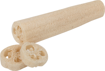 Luffa