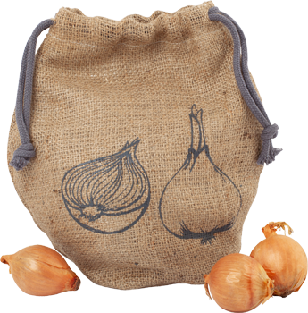 onion bag