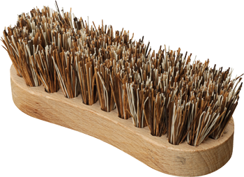 Brosse à récurer