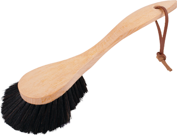 dish brush