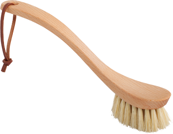 dish brush