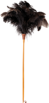 ostrich feather duster