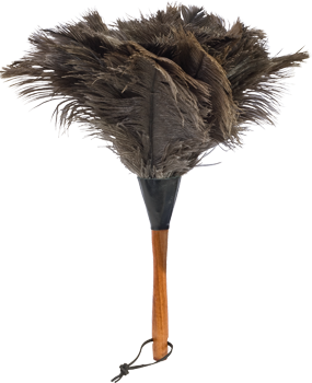 ostrich feather duster