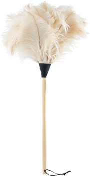 ostrich feather duster