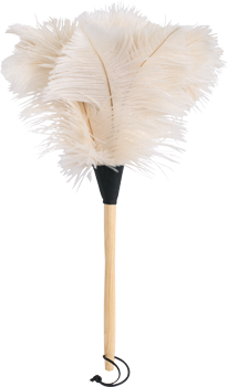 ostrich feather duster