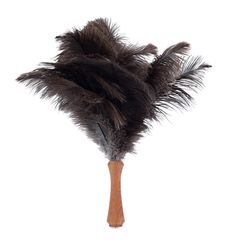 ostrich feather duster