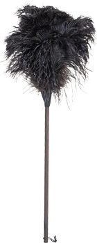 ostrich feather duster