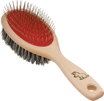 Brosse pour chien