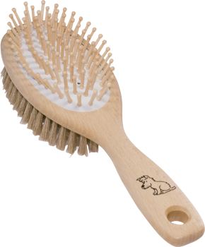 Brosse pour chien