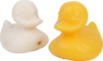 Sheep’s milk soap “ducklings”