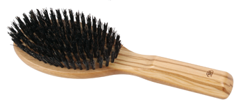 hairbrush