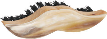 Bartbürste