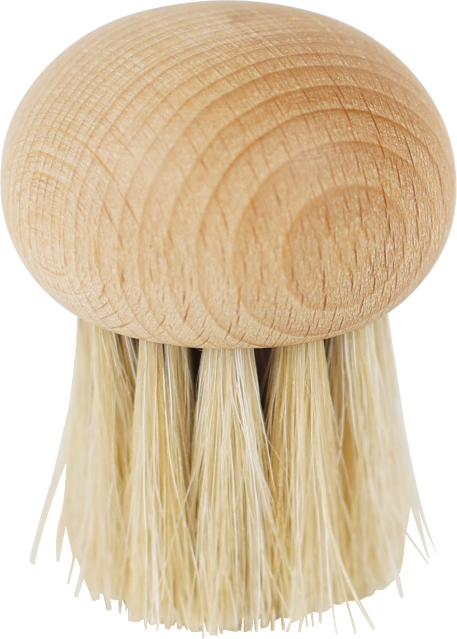 Brosse à Champignons en Bois