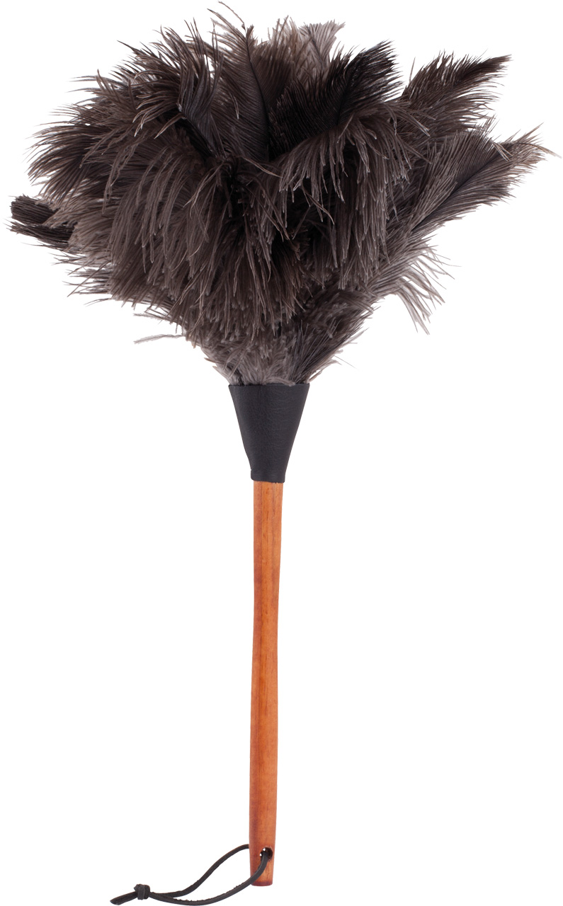 Dww-35cm-plumeau Autruche, Plumeau Poussiere Plume Avec Poigne